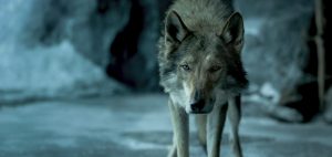 Alpha 2018 movie