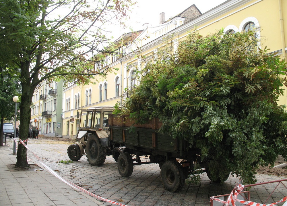 Летом 2007 года вся зелень на Советской улице была брутально выпилена