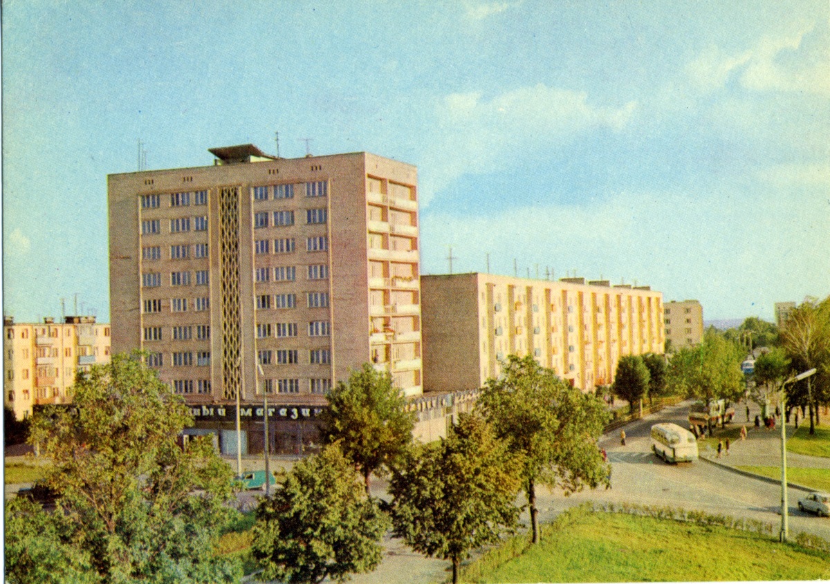 Посередине улицы Горького была тенистая каштановая аллея. 1980г.
