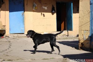 В Гродно проверят бомбоубежище в роддоме