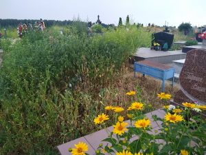 Почему не косят кладбище в Гродно? Активист спросил и вот что ответили в САХ