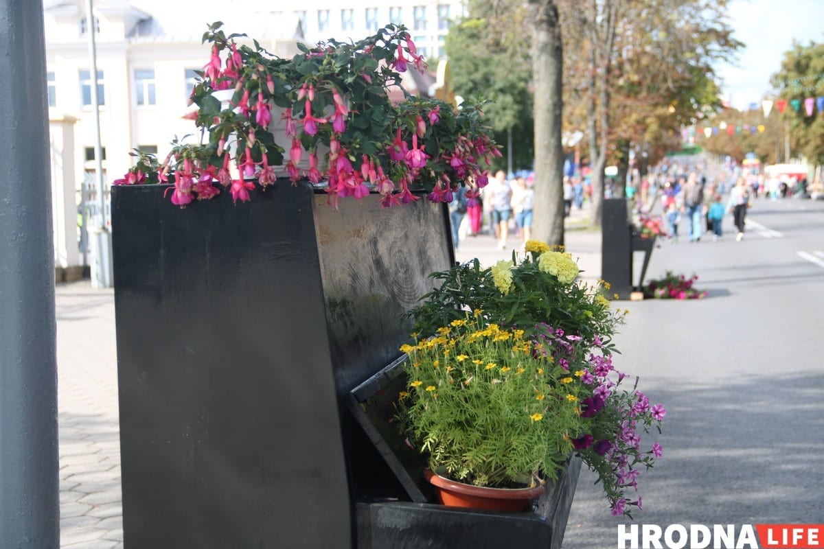 Тату на банане и свинья под горисполкомом - чем удивлял День города в Гродно. Фоторепортаж