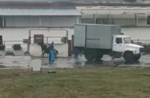«Что они творят, изверги». Шокирующее видео с бойни Лидского райпо