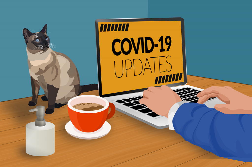Снова плюс 500. В Беларуси зарегистрировано 7281 зараженных COVID-19 Фота: pixabay.com