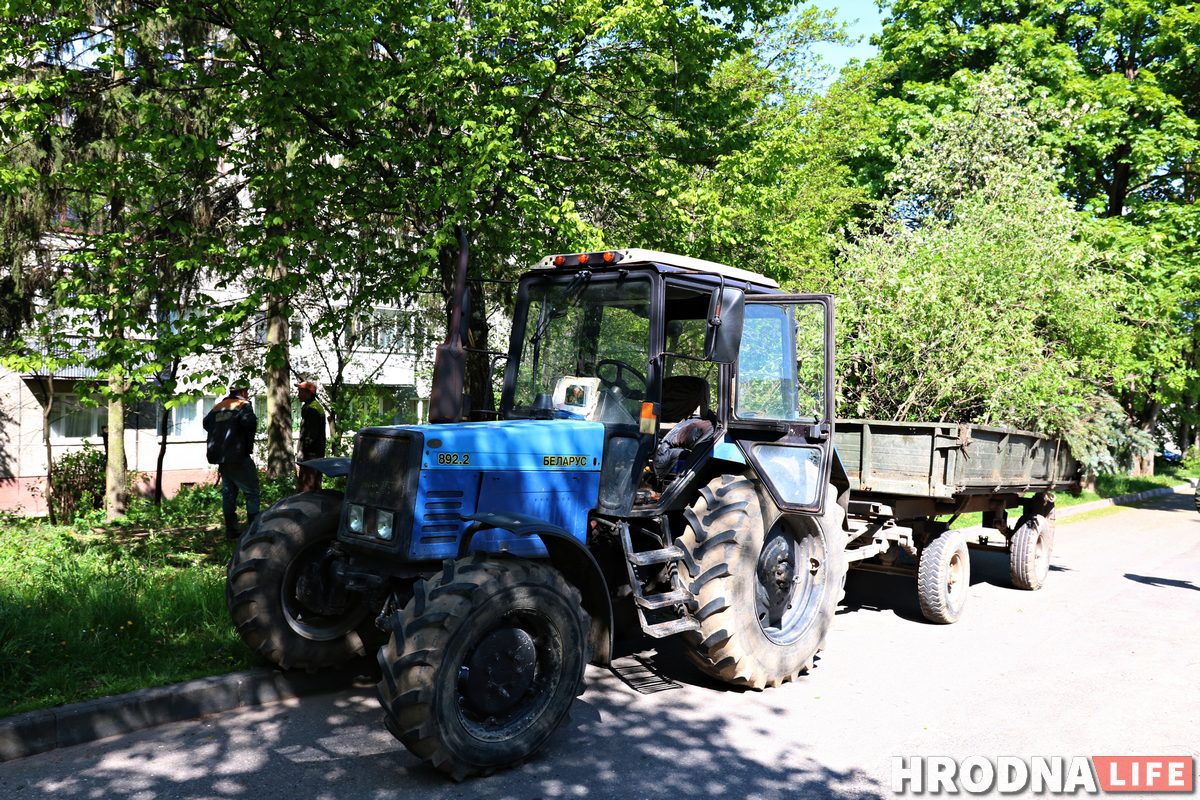 «Гэта наш раён і нашы дрэвы». Жыхары Горкага незадаволеныя высечкай у двары
