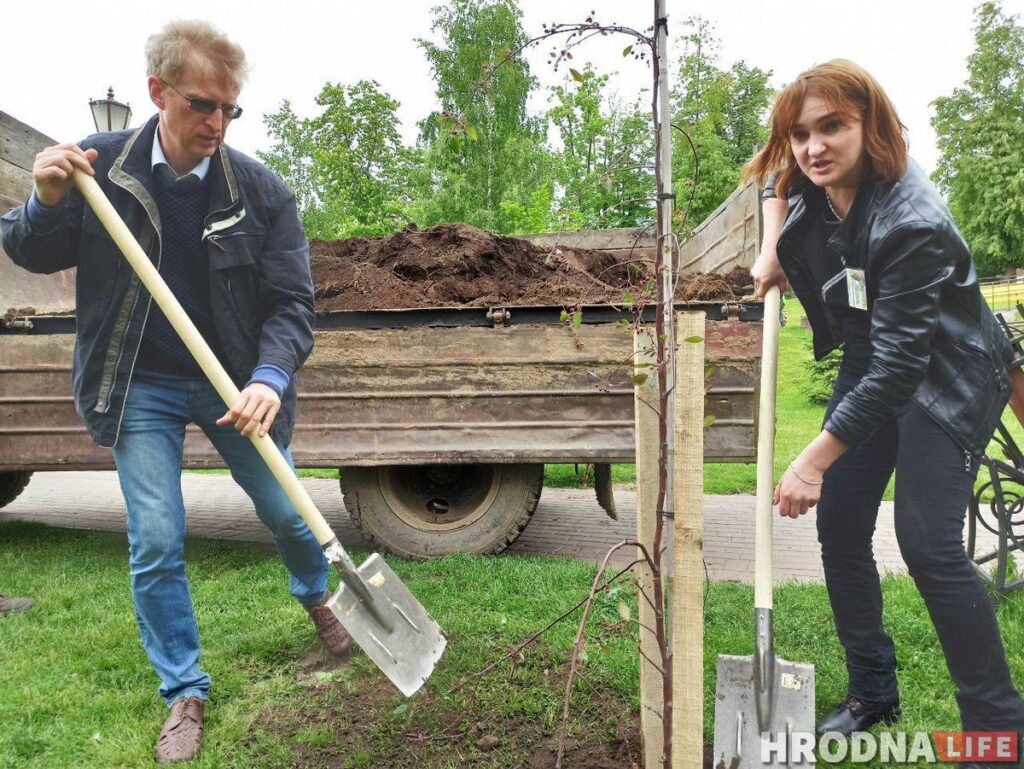 Журналісты пасадзілі вербы, а галоўны архітэктар - ягадную яблыню. У парку Жылібера з'явіліся новыя дрэвы