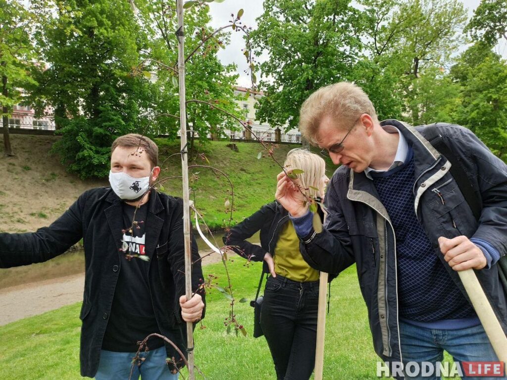 Журналісты пасадзілі вербы, а галоўны архітэктар - ягадную яблыню. У парку Жылібера з'явіліся новыя дрэвы