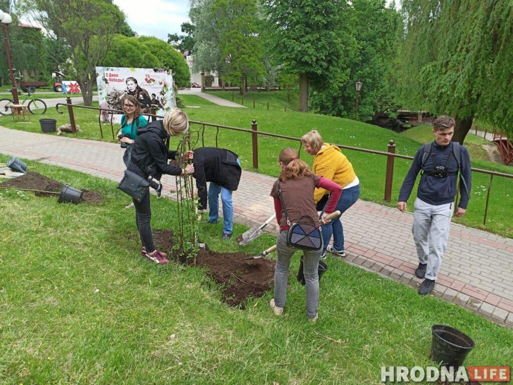 Журналісты пасадзілі вербы, а галоўны архітэктар - ягадную яблыню. У парку Жылібера з'явіліся новыя дрэвы