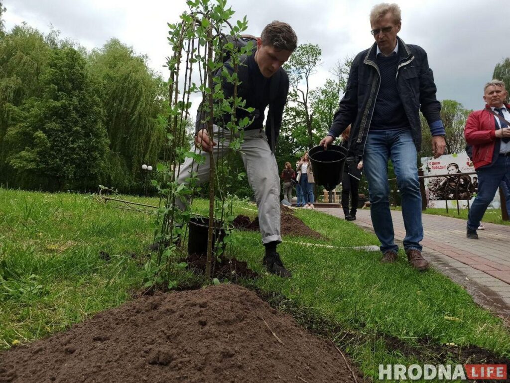 Журналісты пасадзілі вербы, а галоўны архітэктар - ягадную яблыню. У парку Жылібера з'явіліся новыя дрэвы