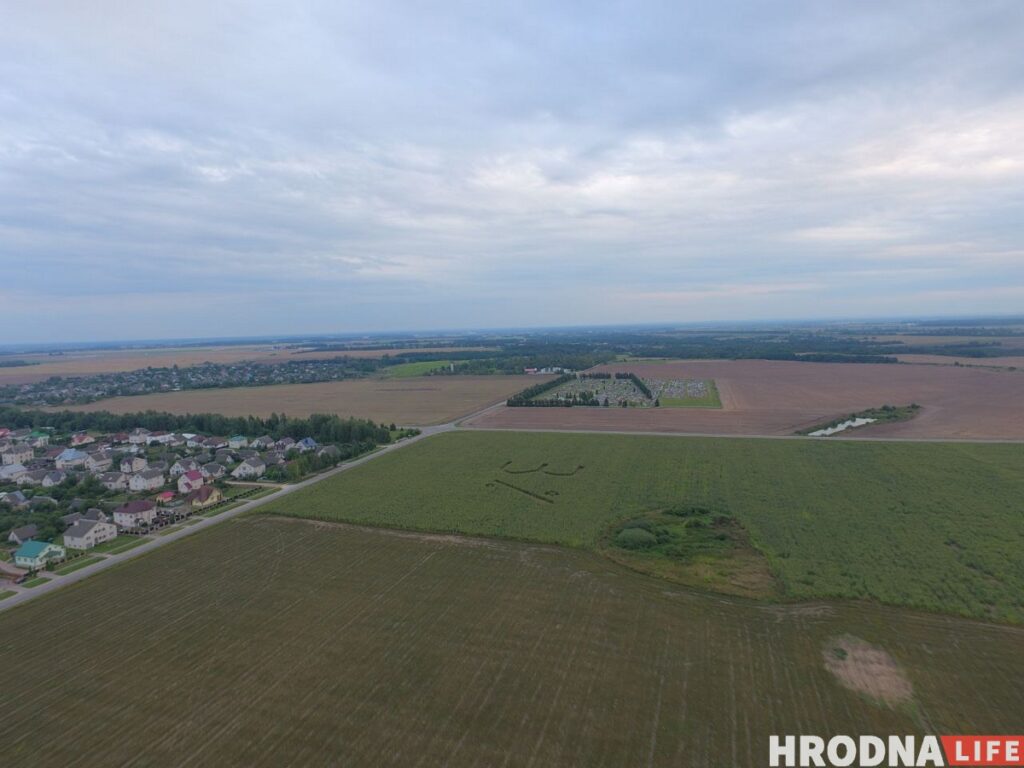 Смотрите, какая надпись появилась на поле возле Щучина