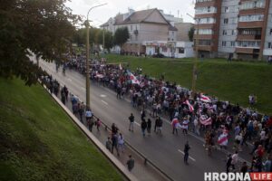 Кот в Мостах "проштрафился" на 200 базовых. За что могут наказать по новому административному кодексу