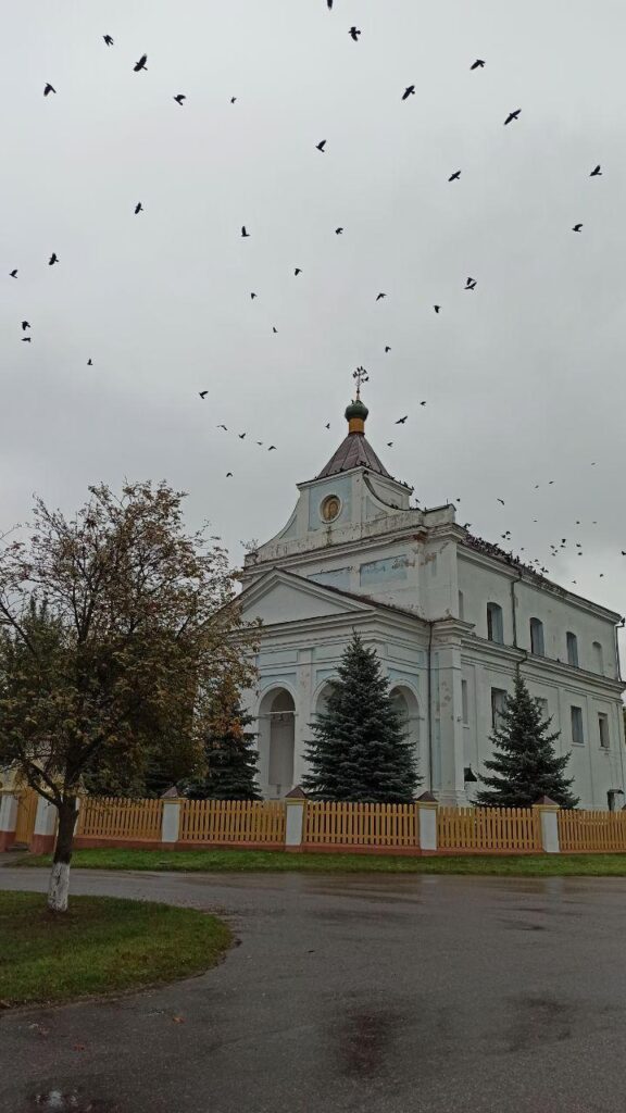 Путешествие под зонтом:  Новогрудский замок, Мурованка Хрептовичей и музей под открытым небом – за 1 день и 280 километров