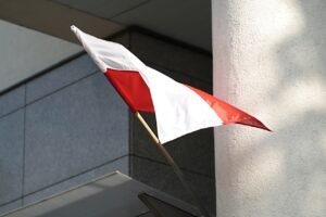 Польша отзовет часть послов из Беларуси. Литва уже сообщала об отзыве