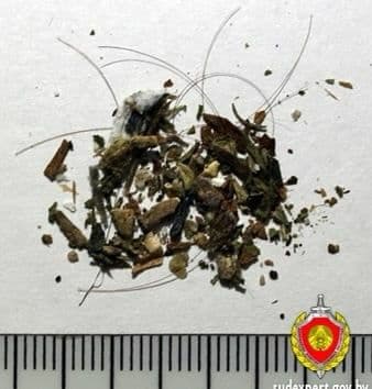 У разбившего пять автомобилей у Октябрьского РОВД гродненца при обыске нашли наркотик