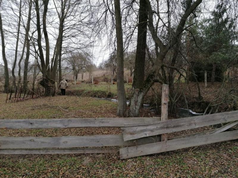 Гродненскую форель хотят охранять в рамках международного проекта. Что сейчас с реками под Гродно, где ее ловили руками