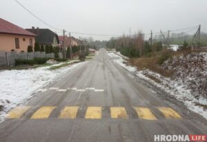 ул золотистая лежачий полицейский