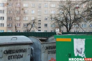 Как помочь бездомному животному и не навредить себе?