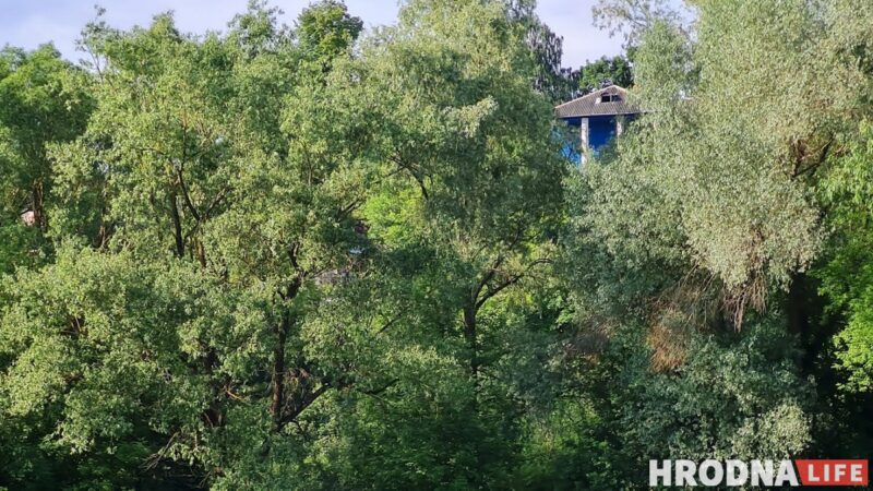 Па Нёмане з "Вольгай Соламавай". Як вінтажны цеплаход катаў гродзенцаў на дачы, у Друскенікі і проста па рацэ
