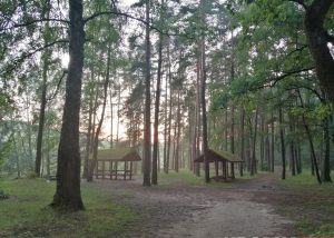Не хватает районных скверов. Для Гродно готовят схему зеленых зон, которые будут охранять