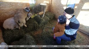 Возле Коложи появился живой вертеп, а к Рождеству в церкви установили копию Даров Волхвов с Афона