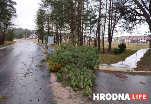 Оставаться дома пока погода не успокоится. Как организовать безопасность себя и близким во время непогоды