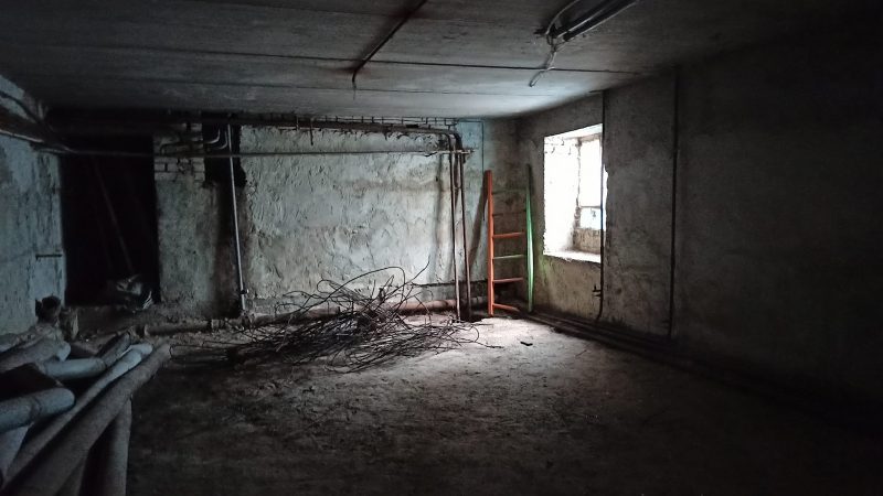 Эвакуировали котов и проверяли бомбоубежище. Как жители Украины прожили первые дни войны?
