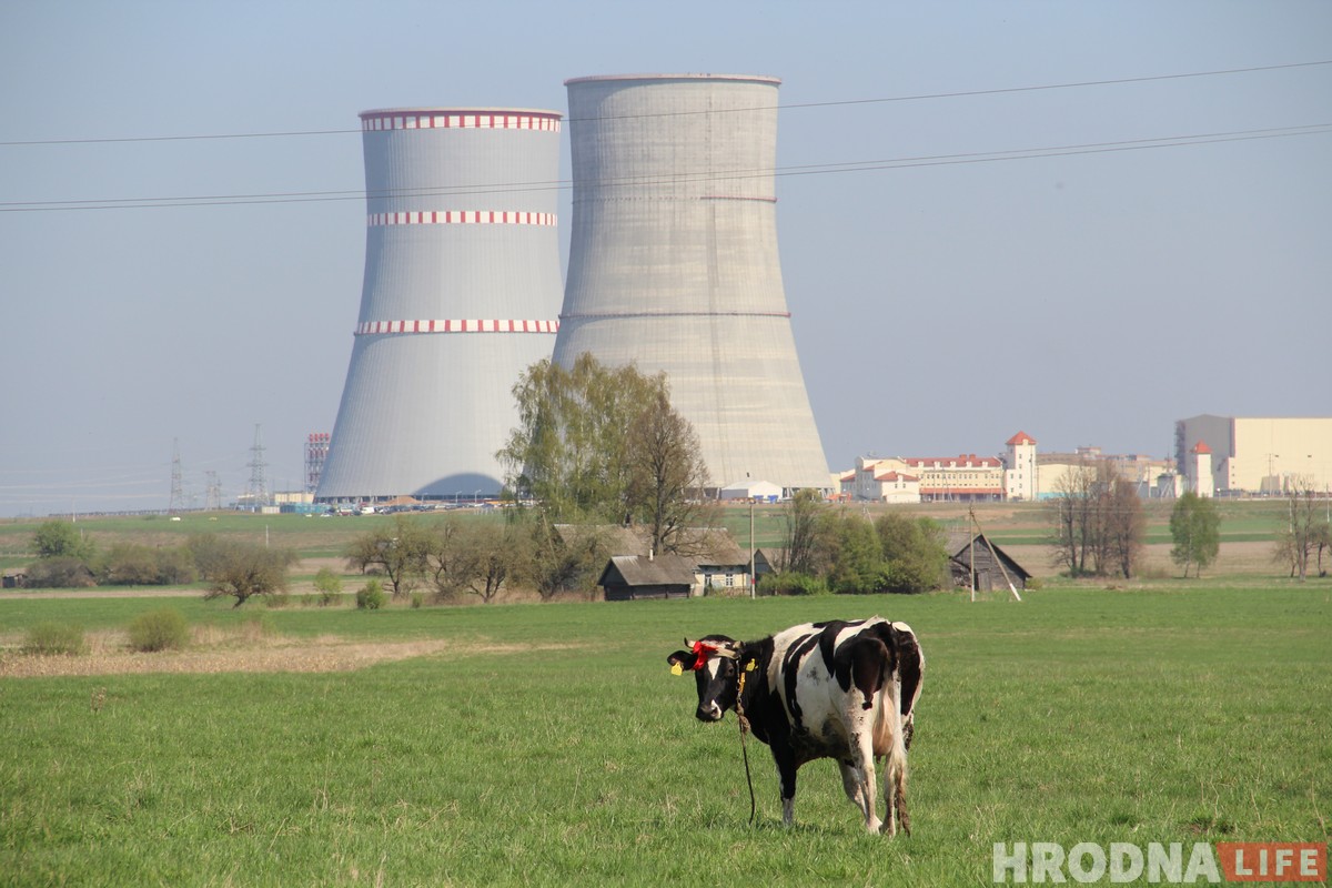 Майнить криптовалюту будут с использованием энергии БелАЭС