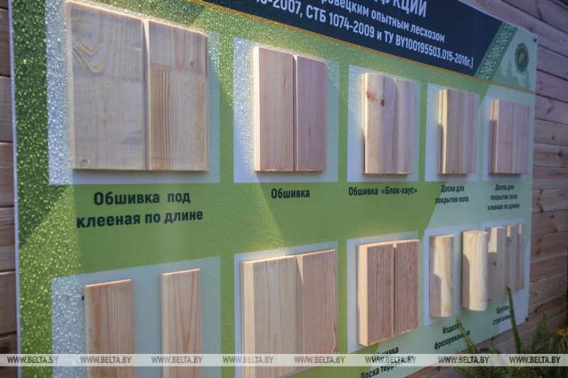 Шоўрум і турагенцтва ў адным. Што можна купіць на пляцоўцы Гродзенскага лясгаса на Паўднёвым рынку