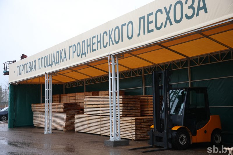 Шоўрум і турагенцтва ў адным. Што можна купіць на пляцоўцы Гродзенскага лясгаса на Паўднёвым рынку