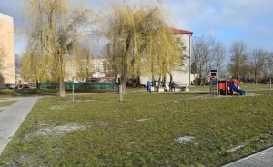Детская площадка Репина
