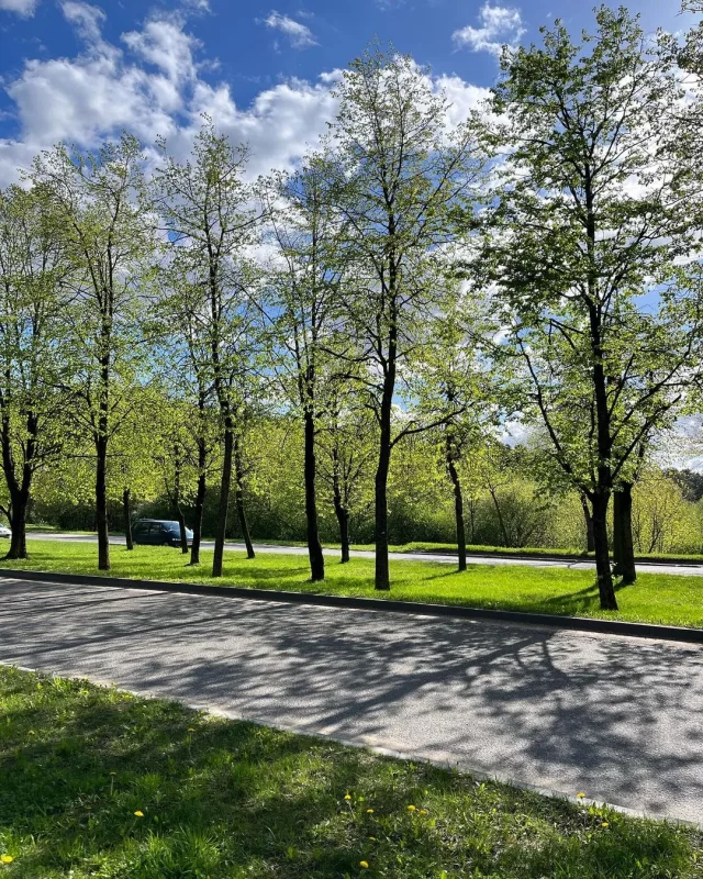 “Что-то из фильмов ужасов”. Топ-3 мест в Гродно, которые горожане обходят стороной 