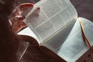 Человек держит открытую книгу о Беларуси, солнечный свет отбрасывает замысловатые тени на страницы, побуждая размышлять о том, что бы почитать дальше о богатой истории и культуре этой интригующей страны.