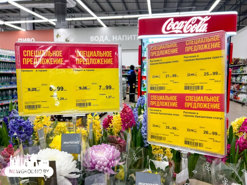 Ад 3,5 да 132 рублёў. Колькі каштуюць цюльпаны да 8 сакавіка ў Гродне