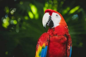 Фото: pexels.com, носит иллюстративный характер