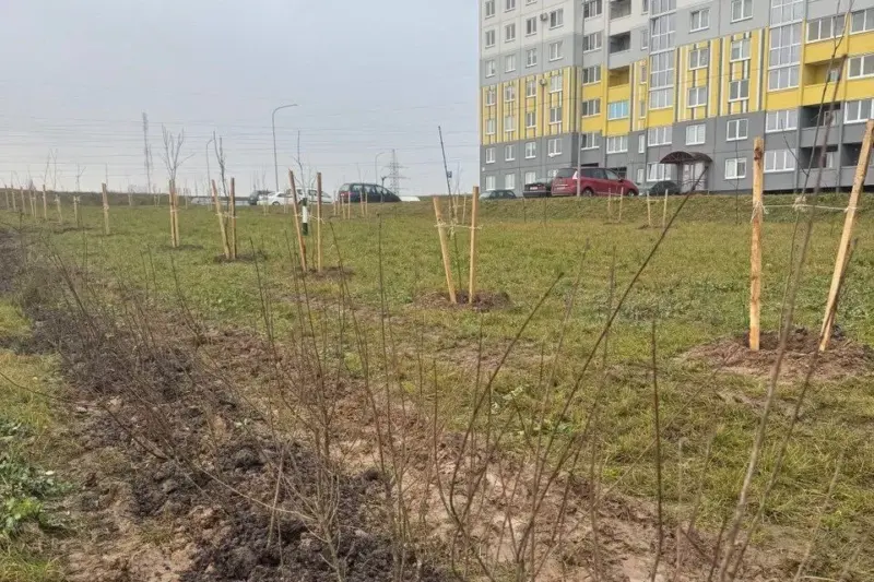 азеляненне ў Гродне - якія праблемы азелянення ў Беларусі