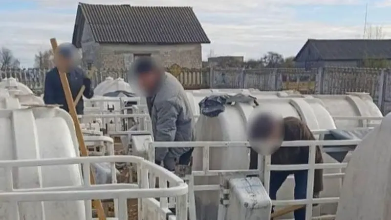 "Праца дысцыплінуе". Каля Мастоў былых зняволенных адправілі збіраць камяні