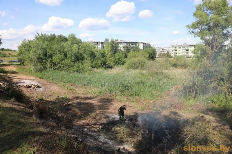 У разгар лета ў Слоніме закрываюць возера — і заадно высякаюць дрэвы