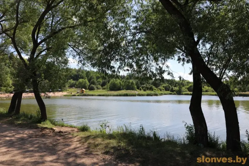 В разгар лета в Слониме закрывают озеро — и заодно вырубают деревья 