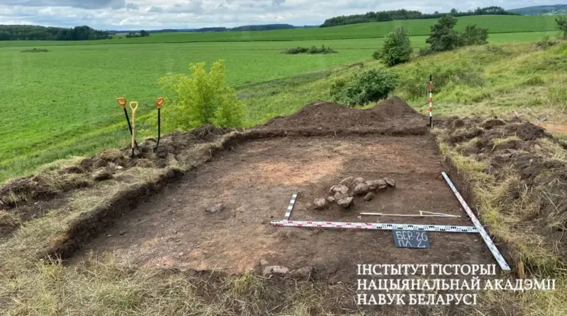 Деревянная стена XVI века - археологи похвастались новыми находками в Кореличском районе Находки в "Замке Кмиты". Фото: Институт истории НАН Беларуси