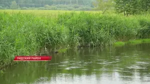 Загрязненная река Дитва. Фото: СТВ