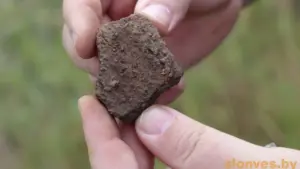 раскопки слоним