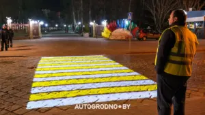 зебра, проектор, пешеходный переход