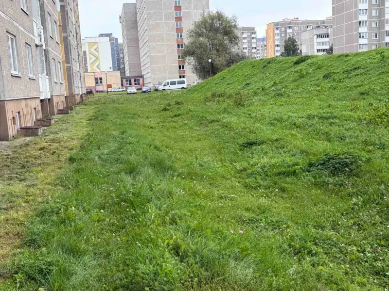 Гродзенец у сацсетках паскардзіўся на смецце каля інтэрната — праблему вырашылі хутка