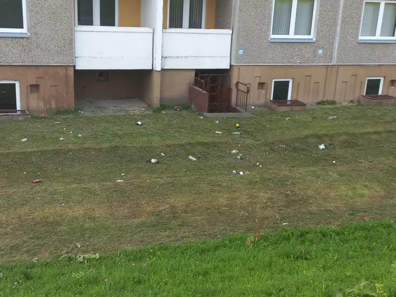 Гродзенец у сацсетках паскардзіўся на смецце каля інтэрната — праблему вырашылі хутка