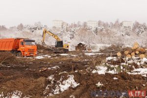 Карцінкі з Фолюша: дачы зносяць, шчэпкі ляцяць
