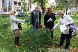 Нечаканая знаходка ў парку Жылібера: на месцы скрадзеных ядомых каштанаў растуць новыя