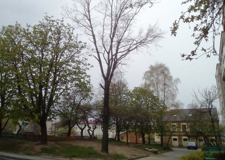 Дуб Быкава. Якія нестандартныя месцы паказваюць гродзенскія экскурсаводы?