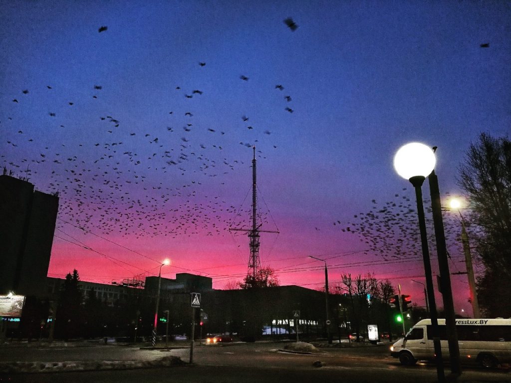 Гродзенцы дзеляцца ў сацсетках фотаздымкамі "вогненнага" світання
