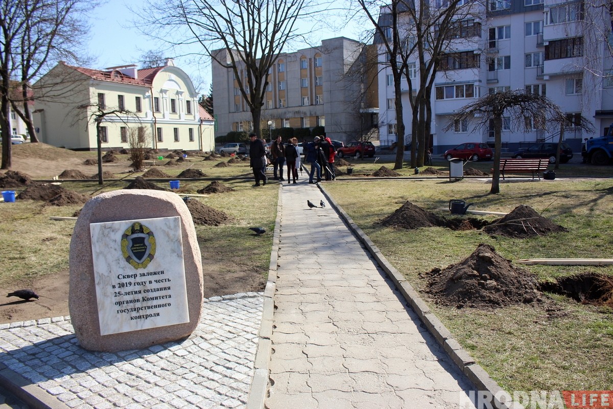 У цэнтры Гродна заклалі новы сквер з 30 клёнаў