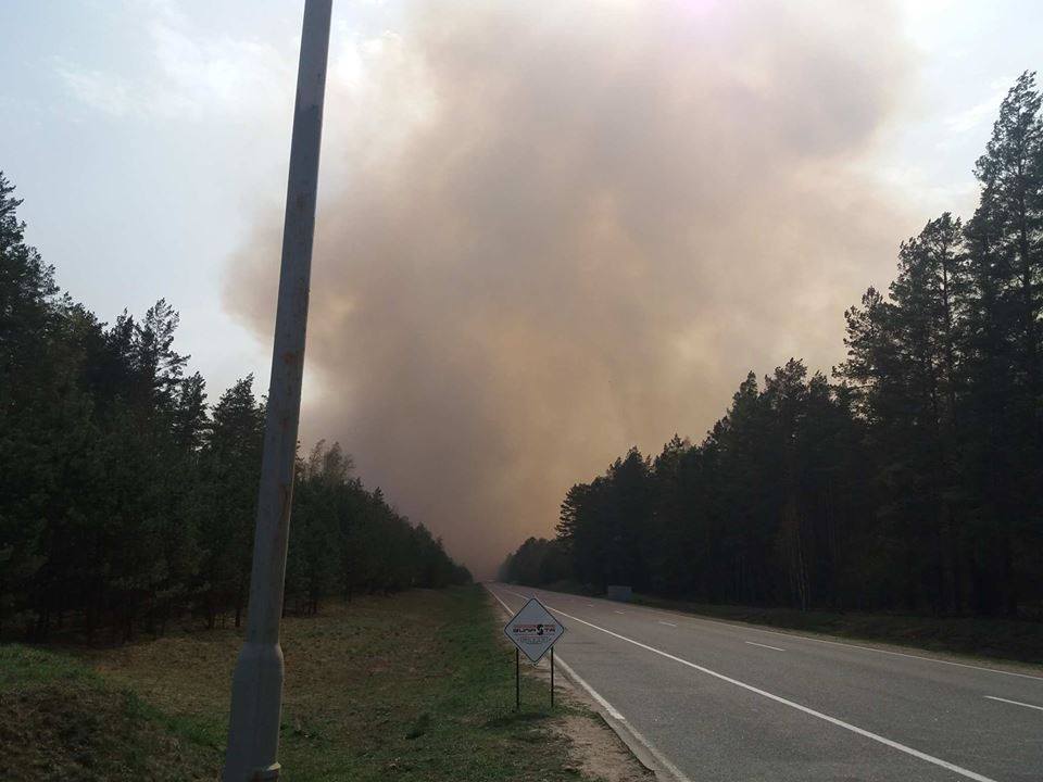 Пожар на полигоне под Гожей. Обновлено. ФОТО